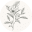 Bouje Finance Icon