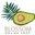 Blossom Organic Skin Care Icon