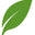 WhyNotNatural Icon