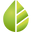 Drops of Nature Icon