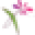 Xpressions Florist Icon