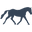 Paddock Saddlery Icon