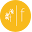 Forsythia Icon