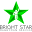 Bright Star Handyman Service Icon