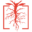 The Root Salon Icon