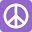 CD Outlet Icon