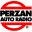 Perzan Auto Radio Icon