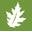 OakTree Supply Icon