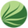 Whole Leaf Aloe Icon