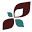 Cunningham Clinic Icon