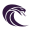Cobratype Computers Icon