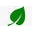 Denver Plant Delivery Icon