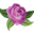 June Flowers Icon