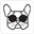 Cooldoggy.co.uk Icon