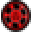 Csgobang Icon