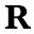 Rufusparis.com Icon