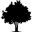 Blackforestsupplements.com Icon