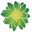 Akroseroot.com Icon