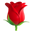 Finalrosetarot.com Icon