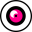 Camera Prive US Icon