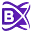 BlockchainX Icon