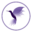 Hummingbird Finance Icon