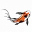 Grass Roots Pond & Garden Icon