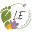 Living Essence Studio Icon