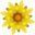 Homeolab Shop Icon