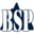Bluestonesafety Icon