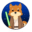 Dogedi Token Icon