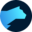 Lightrun Icon