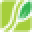 Spring Meds Icon