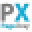 PageXray Icon