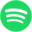 Spotify Icon