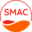 Smartchem Icon