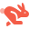 Fast Forms Icon