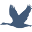 Canard PDX Icon