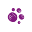 Pawsclub.store Icon