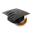 Essay Tigers Icon
