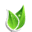 Greenwebpage Icon