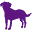 Pets Imperial Icon