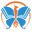 Transformation Academy Icon