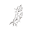 Prevailingherbs.com Icon