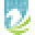 Burial Insurance Icon