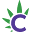 CanEx Delivery Icon