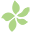 Papaya Clothing Icon