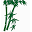 Cheungs Icon