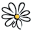 Daisy Trading Co. Icon