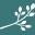 Honolulu MedSpa Icon